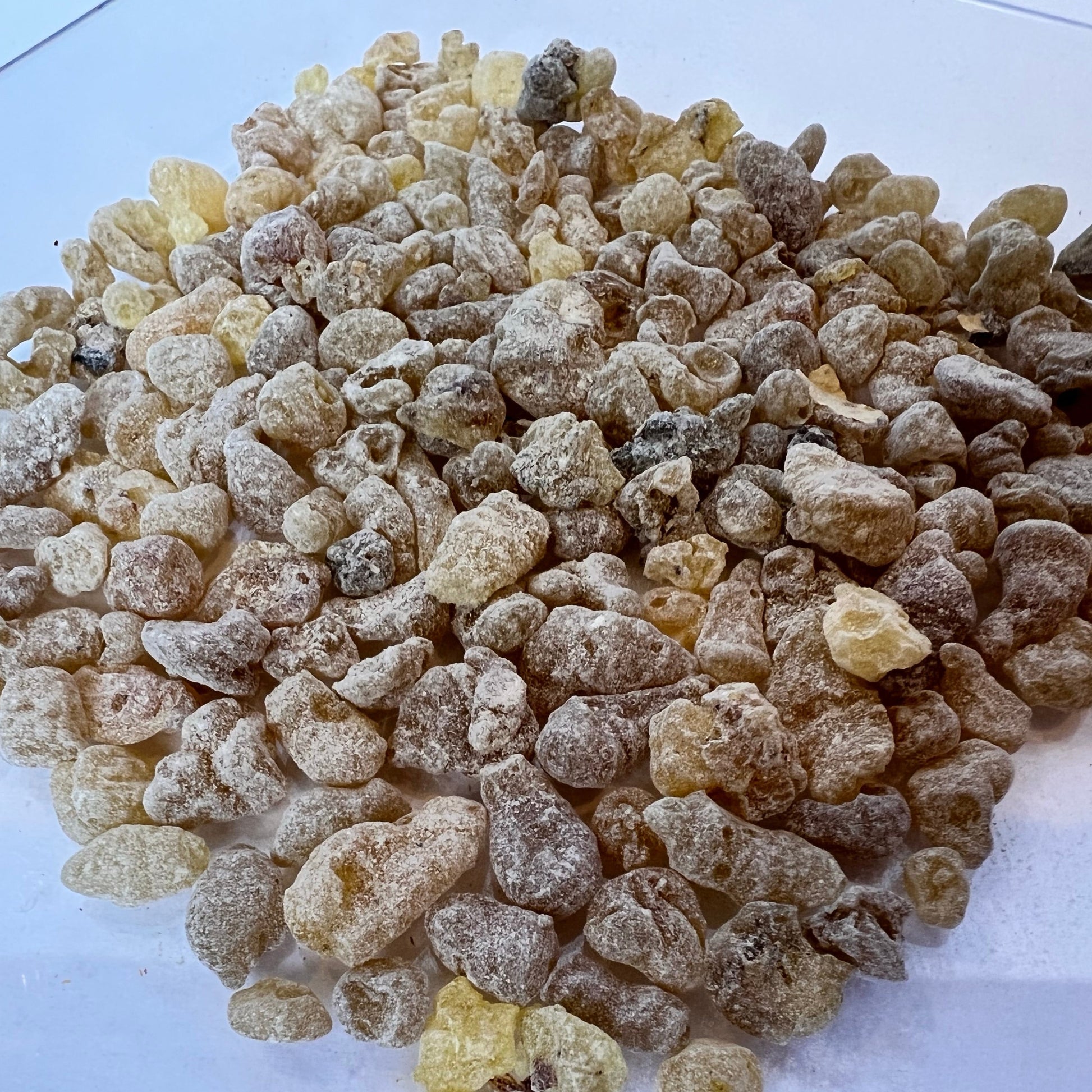 1 ounce Frankincense Resin close-up